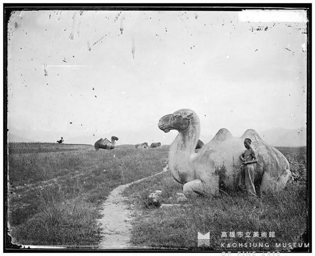 明十三陵神道上的駱駝像藏品圖，第1張