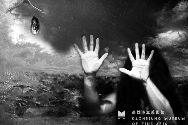 The Scream Collection Image