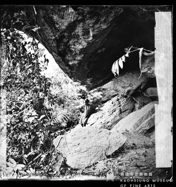 木柵黃竹蛇-1藏品圖，第1張