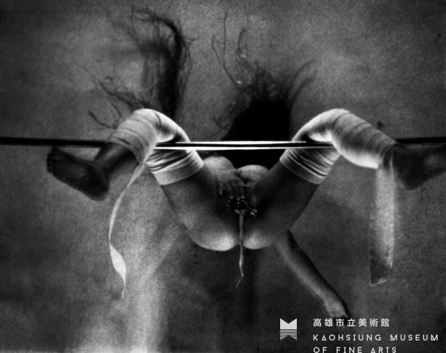 Raw--Flight in the Night Collection Image