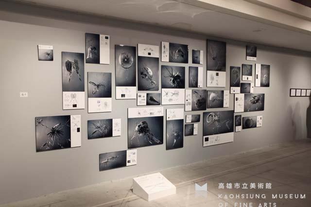 Heyapre Trh I藏品圖，第1張