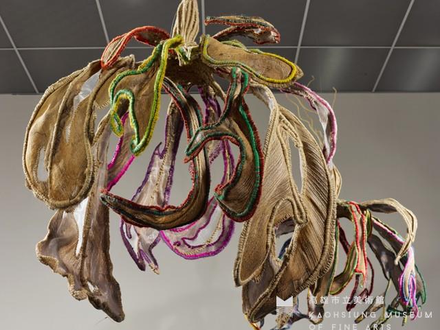 花落藏品圖，第3張