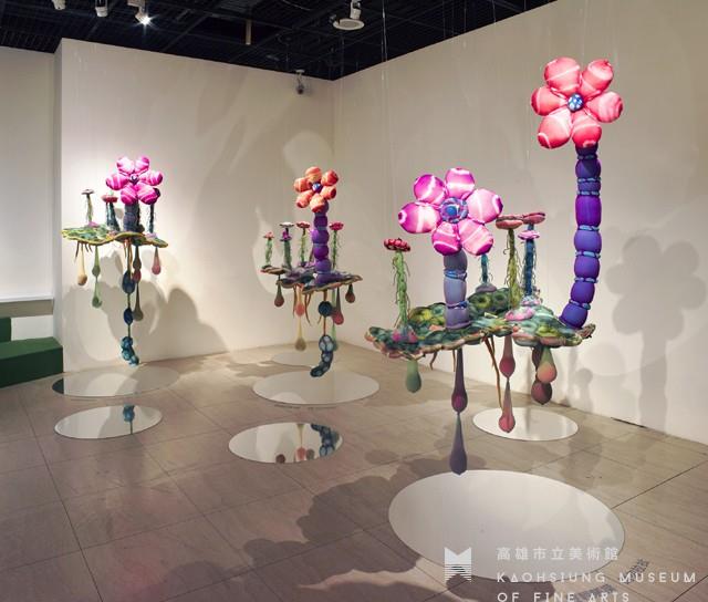 水面上的花朵藏品圖，第1張