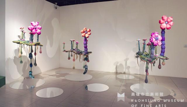 水面上的花朵藏品圖，第2張