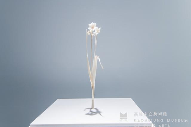 日本水仙藏品圖，第1張