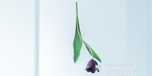 鬱金香(大)藏品圖，第1張