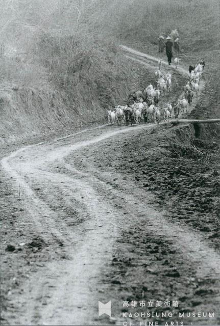 歸途 ( 羊群 )藏品圖，第1張