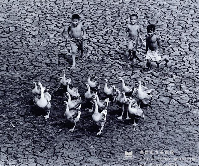 那年夏天藏品圖，第1張