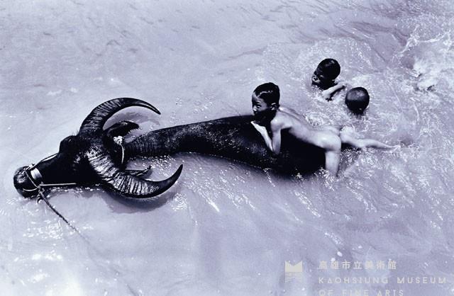 與牛共舞藏品圖，第1張