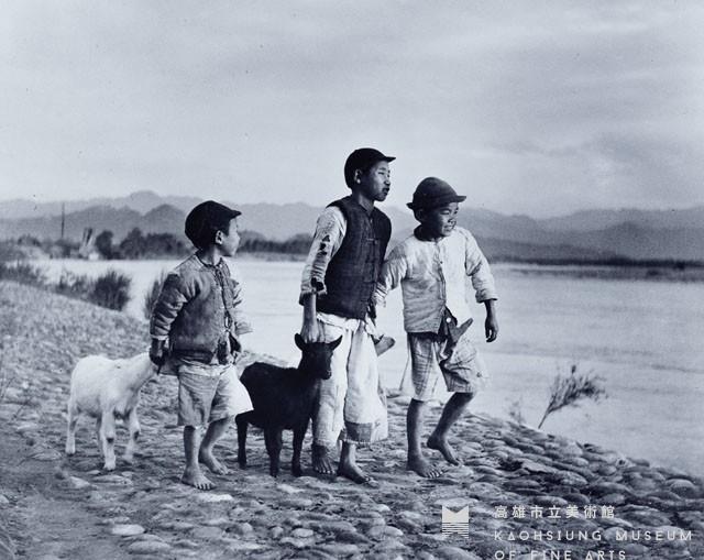 Shepherd Boys Collection Image