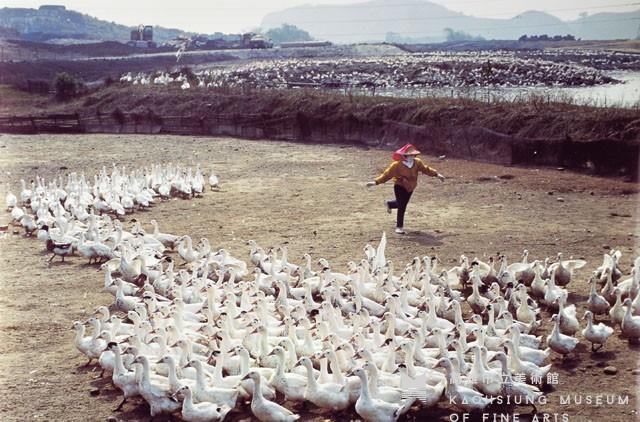 養鴨人家藏品圖，第1張