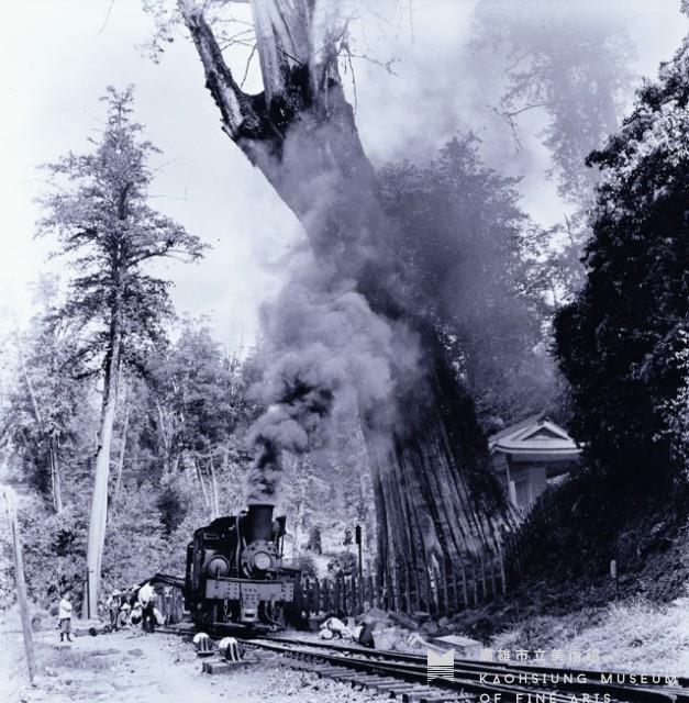 神木與火車藏品圖，第1張