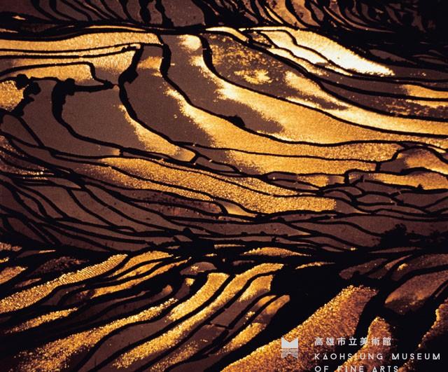 Terraced Fields Collection Image