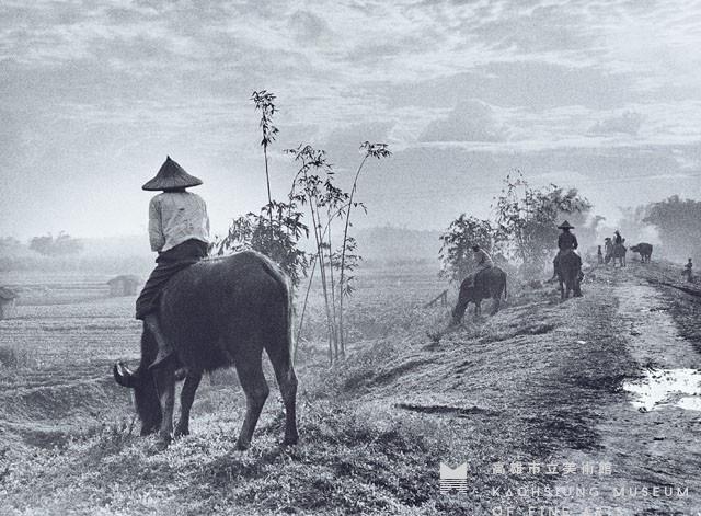 放牛光景藏品圖，第1張