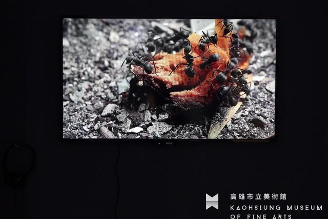 Teguh and Ali藏品圖，第1張