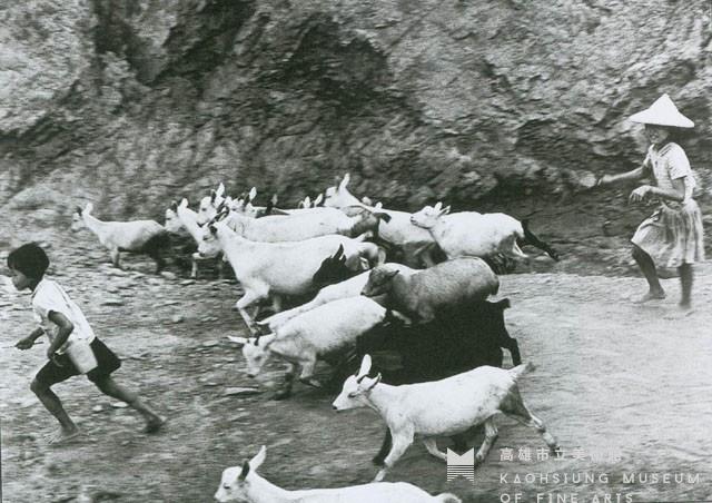 趕藏品圖，第1張