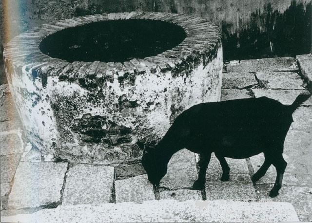 井藏品圖，第1張