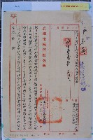 日女倉持千代聲請國籍藏品圖，第1張