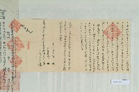 光緒33年12月17日高尊沚立賣斷契藏品圖，第2張