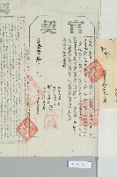 光緒33年元月高信易立賣斷契藏品圖，第4張