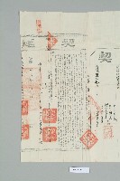 光緒33年元月高信易立賣斷契藏品圖，第5張