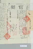 光緒33年元月高信易立賣斷契藏品圖，第4張