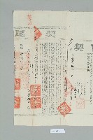 光緒33年元月高信易立賣斷契藏品圖，第5張