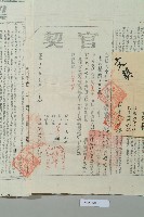 光緒33年12月18日陳寶文立賣斷契藏品圖，第4張