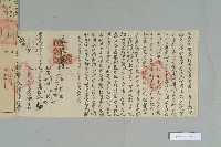 民國8年2月15日高信爆立賣斷契藏品圖，第2張