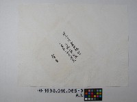 光緒34年12月謝善勤立收字藏品圖，第3張