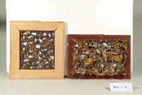 花鳥透雕門扇額堵、動物透雕門扇額堵藏品圖，第1張