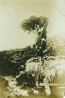 日人理番照片-4藏品圖，第1張