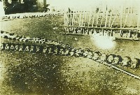 日人理番照片-6藏品圖，第1張