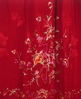 紅提花綢地彩繡蝶花紋裙藏品圖，第2張