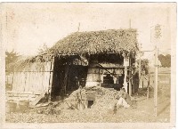 南台中專賣博覽會照片藏品圖，第8張