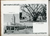 《始政四十周年記念：臺灣博覽會畫帖》藏品圖，第41張