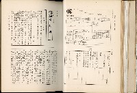 《始政四十周年紀念臺灣博覽會誌》藏品圖，第75張