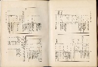 《始政四十周年紀念臺灣博覽會誌》藏品圖，第199張