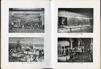 《始政四十周年紀念臺灣博覽會誌》藏品圖，第207張