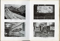 《始政四十周年紀念臺灣博覽會誌》藏品圖，第217張