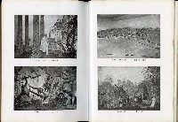 《始政四十周年紀念臺灣博覽會誌》藏品圖，第263張