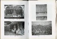 《始政四十周年紀念臺灣博覽會誌》藏品圖，第267張