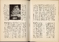 《始政四十周年紀念臺灣博覽會誌》藏品圖，第331張