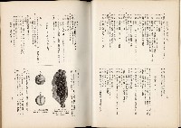 《始政四十周年紀念臺灣博覽會誌》藏品圖，第373張