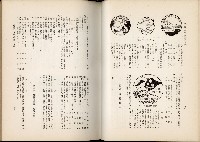 《始政四十周年紀念臺灣博覽會誌》藏品圖，第398張