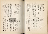 《始政四十周年紀念臺灣博覽會誌》藏品圖，第399張