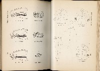 《始政四十周年紀念臺灣博覽會誌》藏品圖，第403張