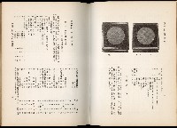 《始政四十周年紀念臺灣博覽會誌》藏品圖，第451張