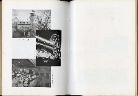 《始政四十周年紀念臺灣博覽會誌》藏品圖，第487張