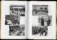 《始政四十周年紀念臺灣博覽會誌》藏品圖，第493張